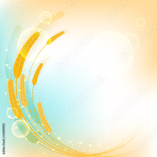 Vector: Golden Wheat Ears on Colorful Background Golden Wheat Ears on Colorful Background