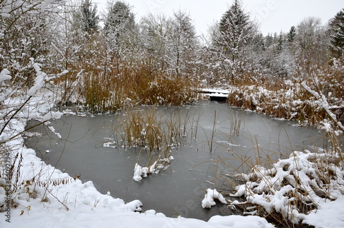 Photo: Winter in Riehen, Switzerland Winter in Riehen, Switzerland