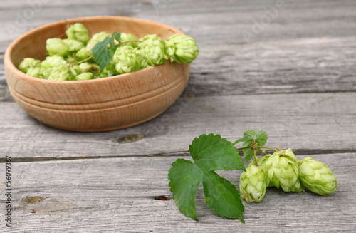 Photo: A branch of hops A branch of hops