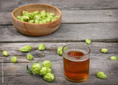 Photo: Harvest of hops and a glass with a drink from the hops Harvest of hops and a glass with a drink from the hops