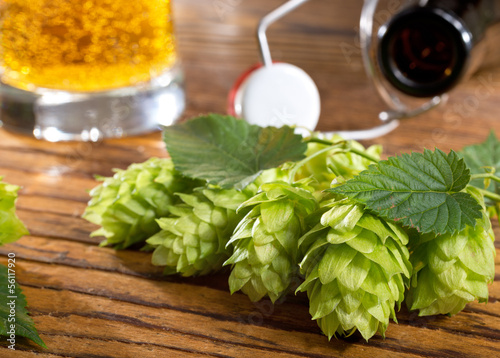 Photo: still life with hops still life with hops
