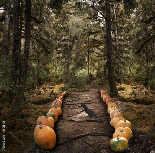 Photo: Spooky Trees And Pumpkins Spooky Trees And Pumpkins