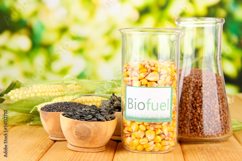 Photo: Conceptual photo of bio fuel. On bright background Conceptual photo of bio fuel. On bright background