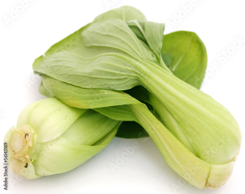Photo: Pak Choi Pak Choi