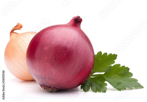 Photo: Onion vegetable bulb and parsley leaves still life Onion vegetable bulb and parsley leaves still life
