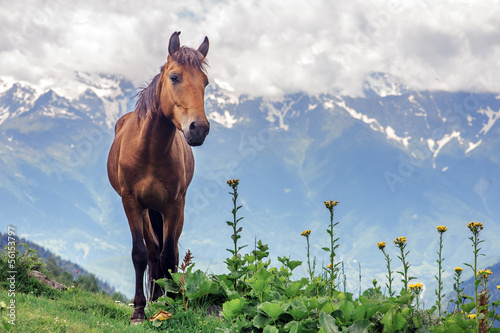 Photo: mountain mountain