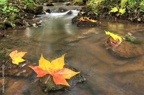 Photo: belle saison d'automne belle saison d'automne