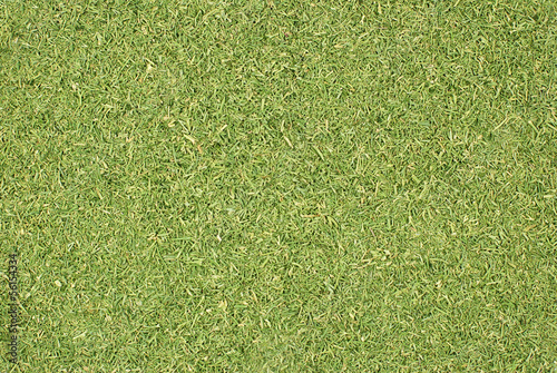 Photo: Dill tops or grass clippings background Dill tops or grass clippings background