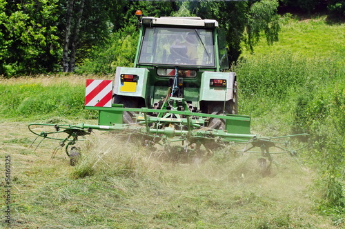 Photo: travail du foin travail du foin