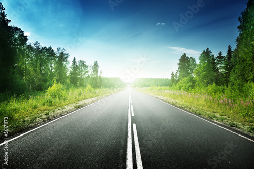 Photo: road in deep forest road in deep forest