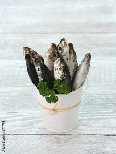 Photo: Raw fish (scad) Raw fish (scad)