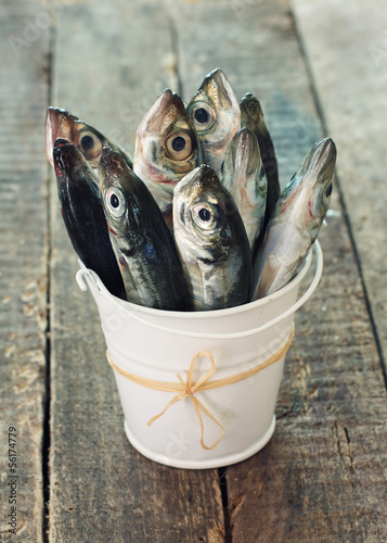 Photo: Raw fish (scad) in bucket Raw fish (scad) in bucket