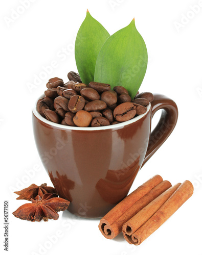 Photo: Coffee beans in cup isolated on white Coffee beans in cup isolated on white