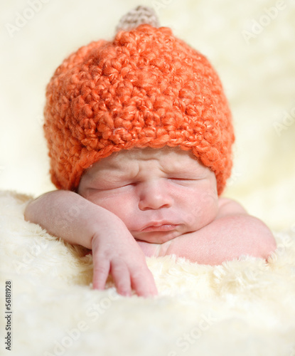 Photo: pumpkin pumpkin