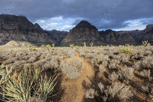 Photo: Mojave Morning Storm Mojave Morning Storm