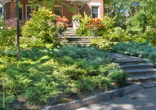 Photo: Herbaceous Border in front of home Herbaceous Border in front of home