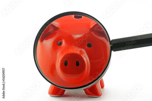 Photo: sparschwein mit lupe sparschwein mit lupe