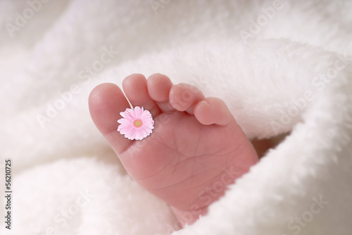 Photo: Babyfuß mit einer kleinen Blume zwischen den Zehen Babyfuß mit einer kleinen Blume zwischen den Zehen