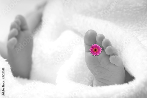 Photo: Babyfüße in schwarzweiß mit kleiner Blume Babyfüße in schwarzweiß mit kleiner Blume