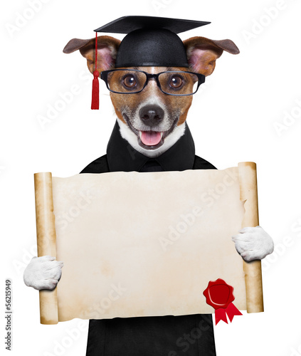 Photo: garduate dog garduate dog