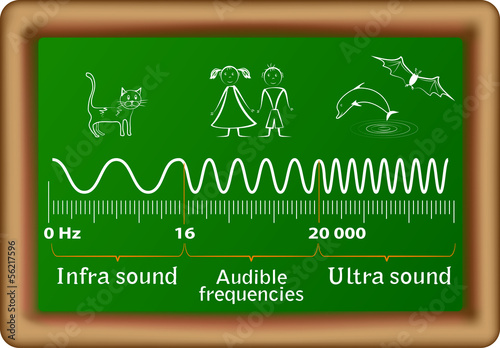 Vector: The sound waves vector diagram The sound waves vector diagram