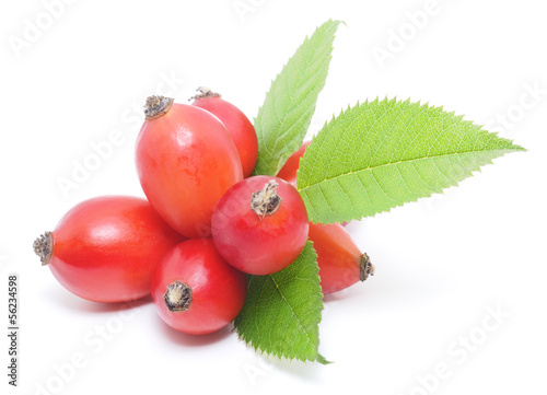 Photo: wild rose berries wild rose berries