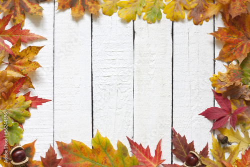 Photo: Autumn leaves on white boards background border Autumn leaves on white boards background border