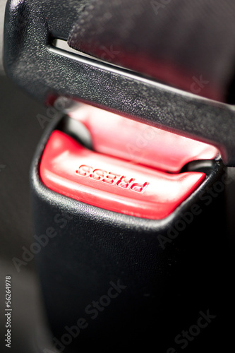 Photo: Seat belt Seat belt