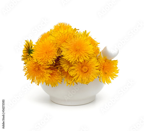 Photo: yellow dandelions in a mortar yellow dandelions in a mortar