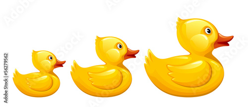 Vector: Duck family Duck family