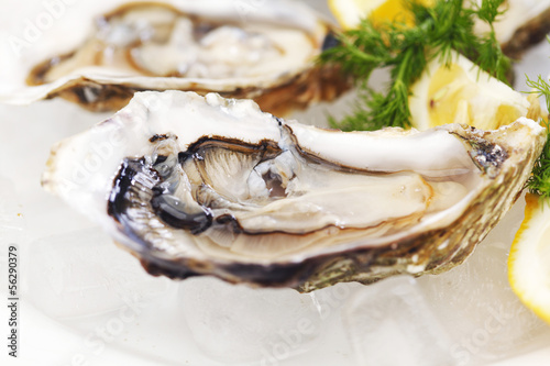 Photo: Oysters with lemon and dill Oysters with lemon and dill