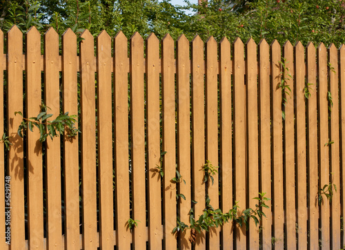 Photo: Fence Fence