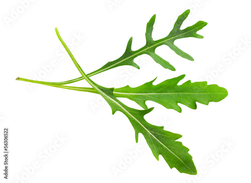 Photo: Rocket leaves Rocket leaves