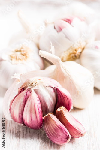 Photo: (Allium sativum) Knoblauch - Knollen und einzelne Zehen (Allium sativum) Knoblauch - Knollen und einzelne Zehen
