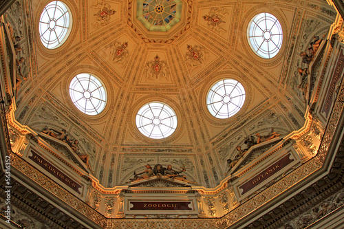 Photo: Beautiful ceiling at the Natural History Museum Beautiful ceiling at the Natural History Museum