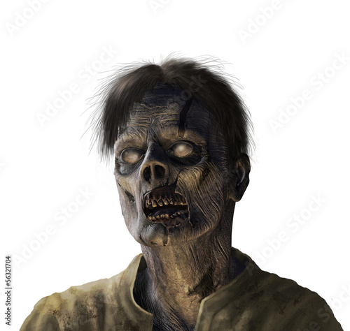Illustration: Zombie Portrait - on white Zombie Portrait - on white