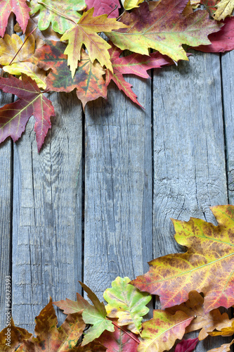 Photo: Autumn leaves on vintage boards background Autumn leaves on vintage boards background