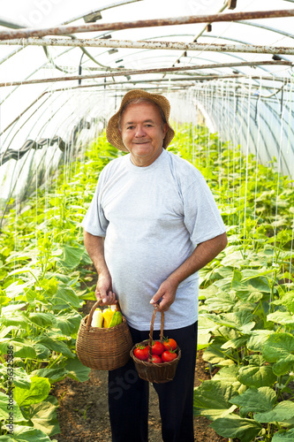 Photo: elderly man vegetable garden elderly man vegetable garden