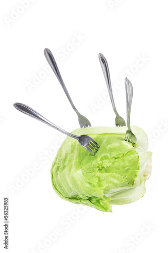 Photo: Forks on Iceberg Lettuce Forks on Iceberg Lettuce