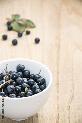 Photo: Chokeberry Chokeberry