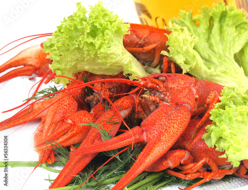 Photo: Beer crawfish Beer crawfish