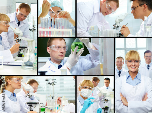 Photo: Laboratory study Laboratory study