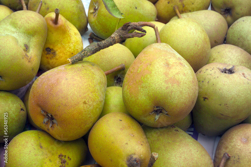 Photo: pears pears