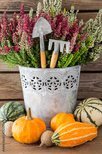 Photo: Herbst - Dekoration Herbst - Dekoration
