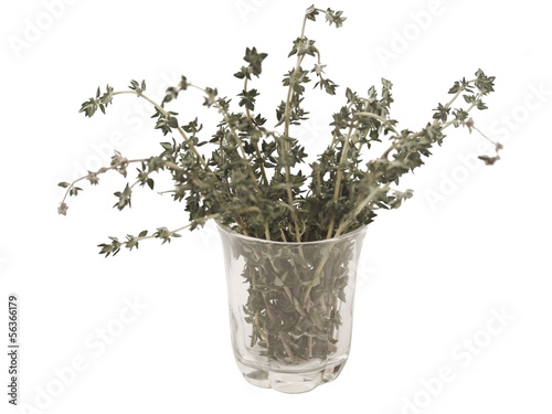 Photo: thyme thyme