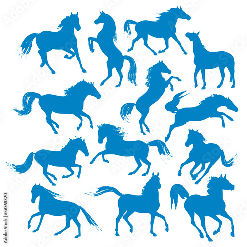 Illustration: horses-silhouettes horses-silhouettes