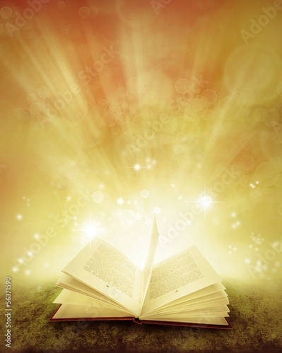 Illustration: Book Book