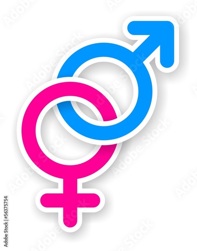 Illustration: sticker of pink and blue female and male sex symbol sticker of pink and blue female and male sex symbol