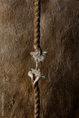 Photo: ロープ ロープ