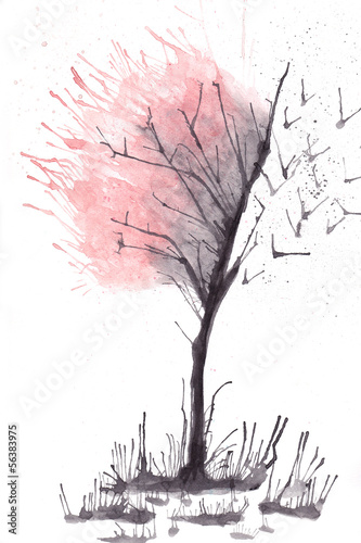Albero Albero